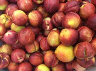 NECTARINE PRIMEUR