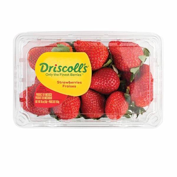 FRAISE PRIMEUR