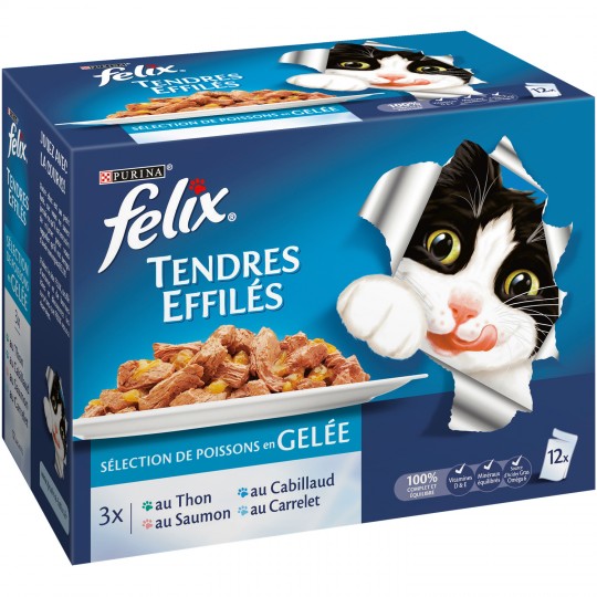 POISSONS EN GELÉE