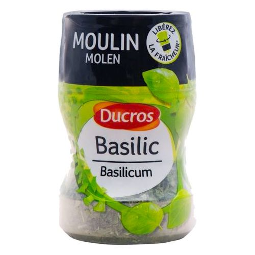 BASILIC