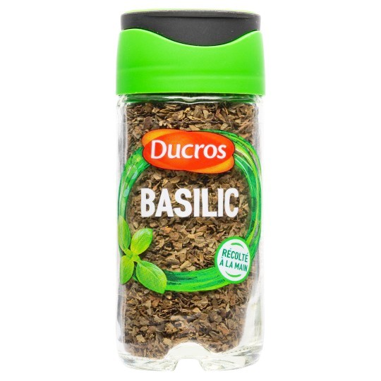 BASILIC