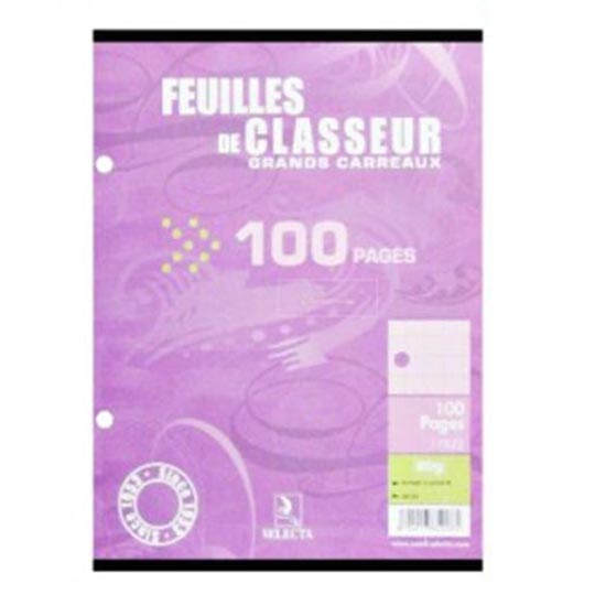 FEUILLES SIMPLE 17X22