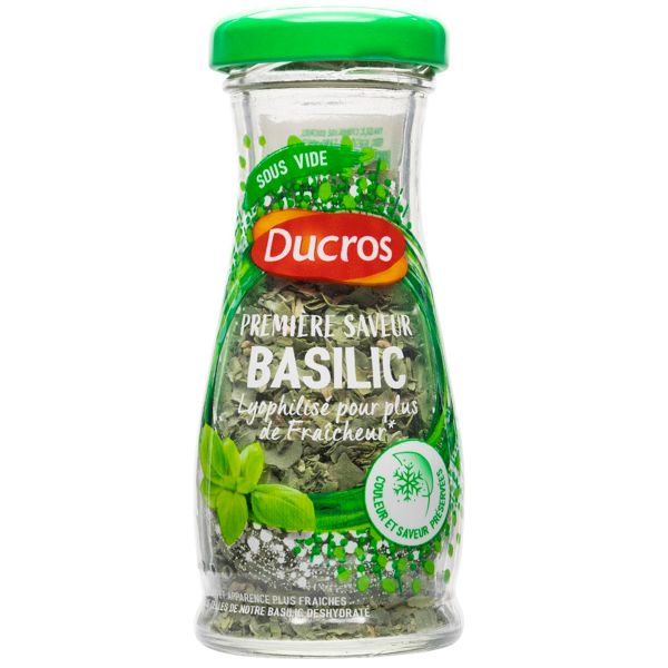 BASILIC