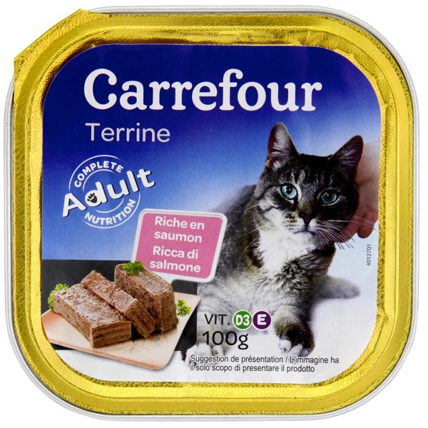 TERRINE SAUMON