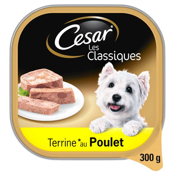 TERRINE POULET