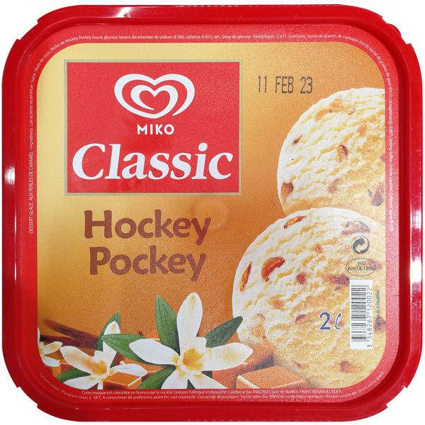 HOCKEY POCKEY