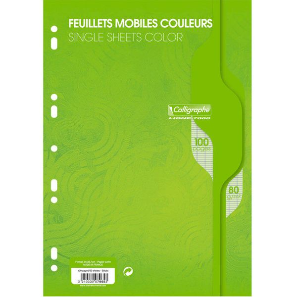 FEUILLES SIMPLES VERT A4