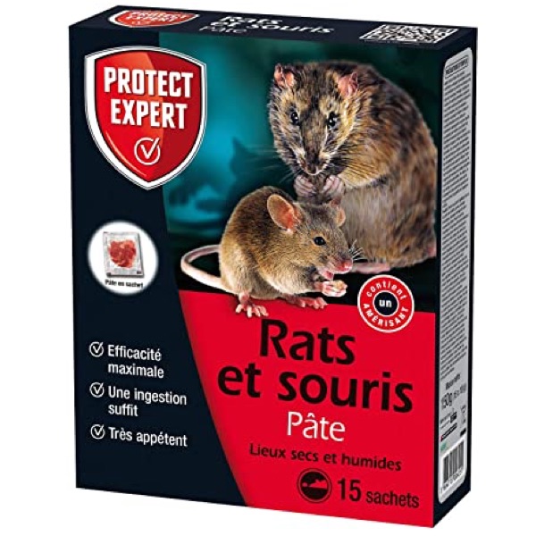 RATS SOURIS PATE