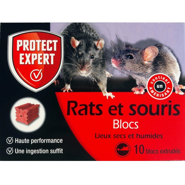 RATS SOURIS BLOCS